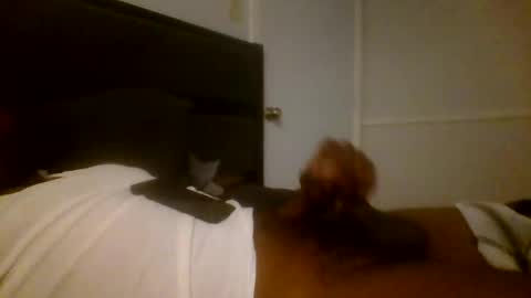 Jamacian online show from December 16, 2024, 3:19 am