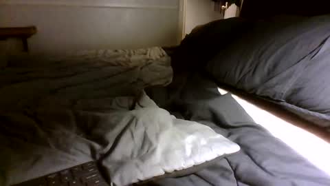 Jamacian online show from September 30, 2025, 3:00 am