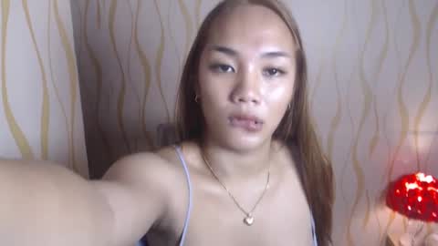 Jammy online show from February 3, 2025, 8:03 pm