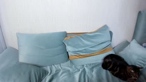 Jane online show from January 25, 2025, 9:04 pm