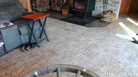 janeen- online show from February 10, 2025, 4:47 pm