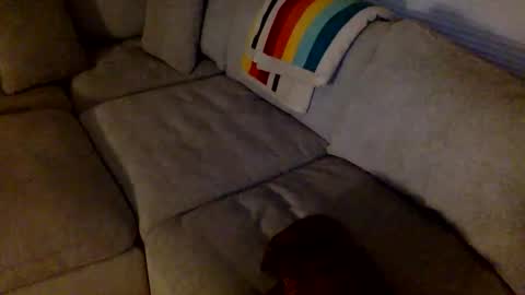 Snapshot of janicepepper chatting on May 21, 2026, 8:54 am janicepepper online show from May 21, 2026, 8:54 am