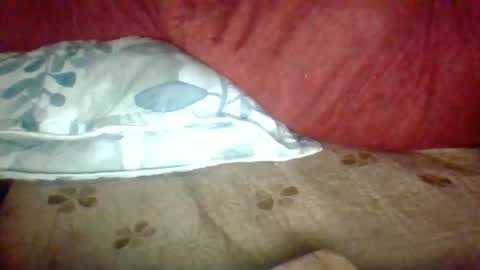 Janne online show from November 25, 2025, 2:39 pm