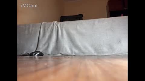 jarrettsss online show from November 14, 2025, 7:56 pm