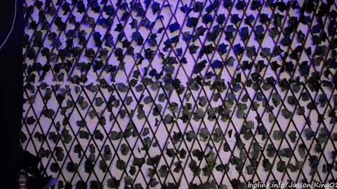 JKing  online show from September 11, 2025, 11:05 pm