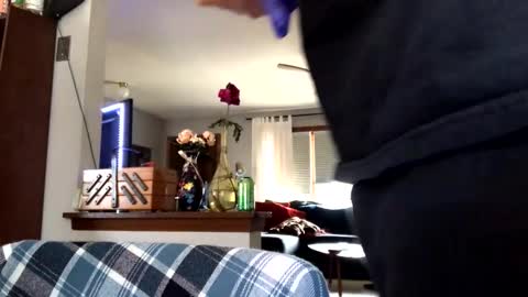 Jaws  online show from March 4, 2026, 9:21 pm