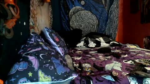 jaxxx666 online show from February 12, 2025, 10:46 am