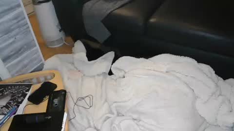 jax online show from December 21, 2024, 8:28 am