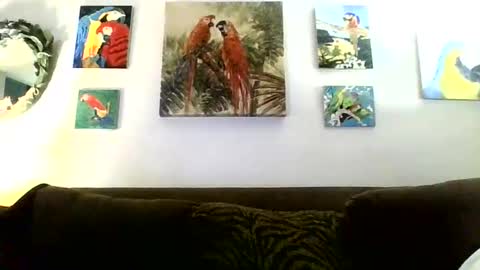 jay-jay1475 online show from January 16, 2025, 8:46 pm