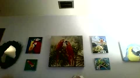 jay-jay1475 online show from January 31, 2025, 6:03 pm