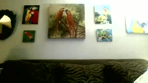 jay-jay1475 online show from February 17, 2025, 1:58 am