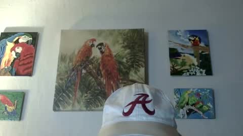 jay-jay1475 online show from March 12, 2025, 9:45 pm