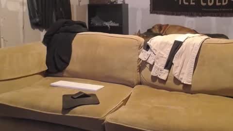 O F   jay short786 online show from February 19, 2025, 2:44 am