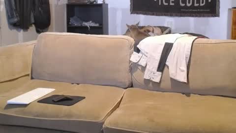 O F   jay short786 online show from February 19, 2025, 3:16 pm