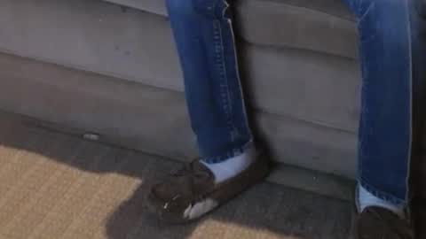 O F   jay short786 online show from February 22, 2025, 8:20 pm