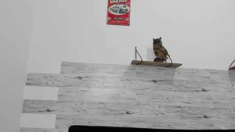 Jaycreedd online show from March 6, 2025, 7:25 am