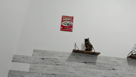 Jaycreedd online show from March 8, 2025, 2:34 am