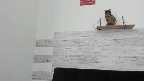 Jaycreedd online show from September 22, 2025, 1:46 pm