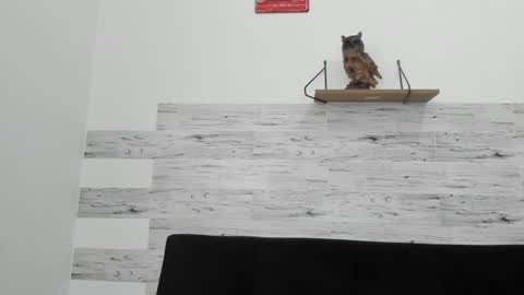 Jaycreedd online show from September 30, 2025, 4:56 pm