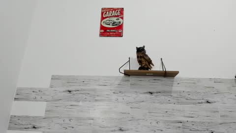 Jaycreedd online show from October 1, 2025, 5:02 am