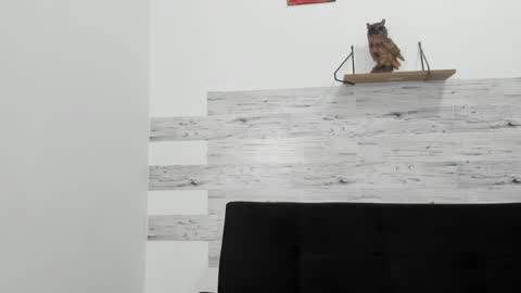 Jaycreedd online show from October 6, 2025, 2:53 am