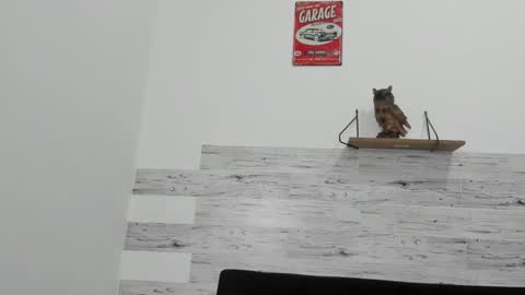 Jaycreedd online show from November 11, 2025, 4:56 am