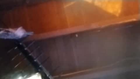 Meetmyfreak online show from February 14, 2025, 10:17 am