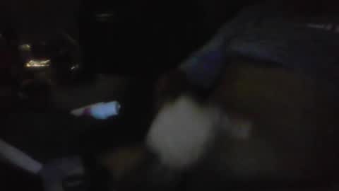 jaywulf22 online show from January 17, 2026, 5:23 am