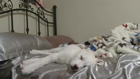 Snapshot of jcslayer88 chatting on February 2, 2026, 7:51 am Jack online show from February 2, 2026, 7:51 am