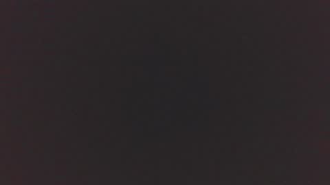 jdog00133 online show from November 16, 2025, 8:58 pm