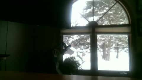 jeffbate online show from February 12, 2025, 2:21 pm