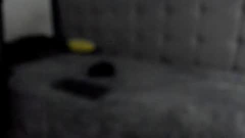 jeicob gagnon online show from December 16, 2024, 11:07 pm