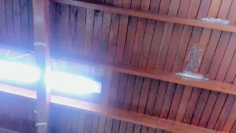 jeicob gagnon online show from February 12, 2025, 4:00 pm