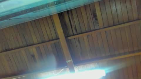 jeicob gagnon online show from September 15, 2025, 2:00 am