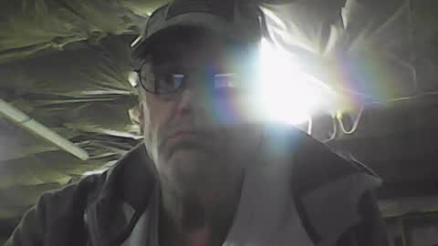 jenj1961 online show from July 31, 2026, 2:16 pm