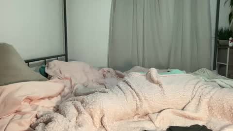 Mistress Jenni online show from December 11, 2024, 6:47 am