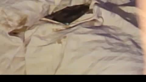 Jennie bttmcd online show from February 14, 2025, 12:36 pm