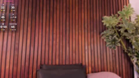     online show from November 4, 2025, 1:32 pm