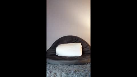 Jenny Star online show from February 8, 2026, 5:05 pm