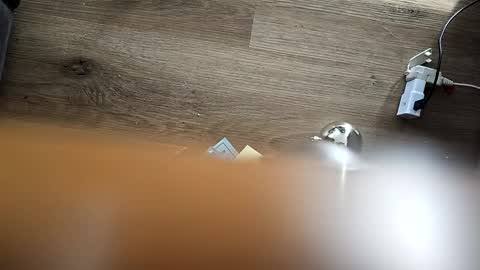 Jeremynew13 online show from December 11, 2024, 7:36 pm