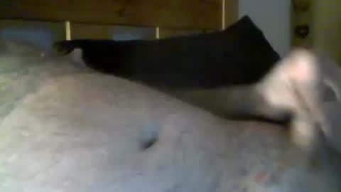 jerkmate6666 online show from May 1, 2026, 10:36 pm