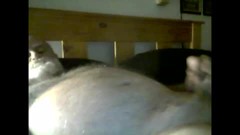 jerkmate6666 online show from May 9, 2026, 3:56 am