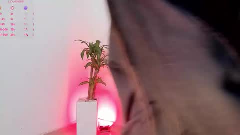 jessie_jarper online show from September 10, 2025, 12:05 pm