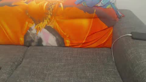 jessiestar3 online show from February 23, 2025, 2:07 am