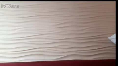 Alexandria online show from March 12, 2025, 12:26 pm