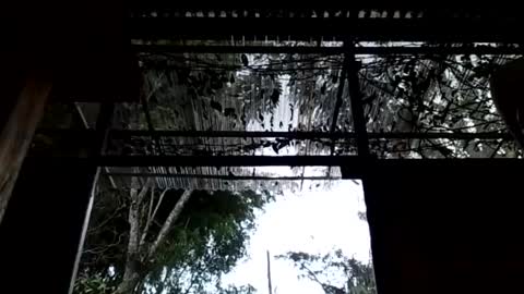 jesuyave online show from April 19, 2026, 5:45 pm