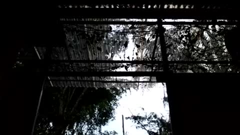 jesuyave online show from April 19, 2026, 6:10 pm