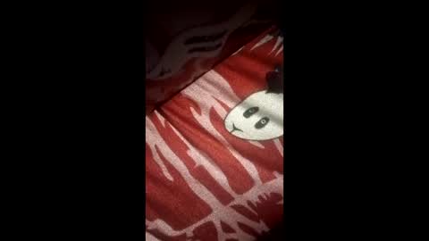 Snapshot of jhonteilorleonramirez277 chatting on March 22, 2026, 11:19 pm jhonteilorleonramirez277 online show from March 22, 2026, 11:19 pm