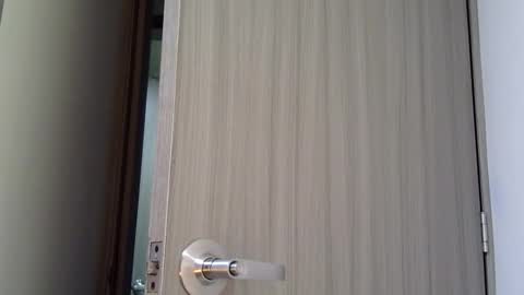   online show from March 3, 2026, 11:05 am