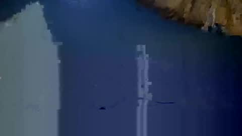 Jimmyswagg420 online show from February 1, 2025, 6:51 pm